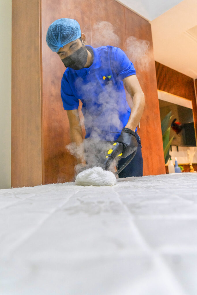 Sofas & Upholstery clean